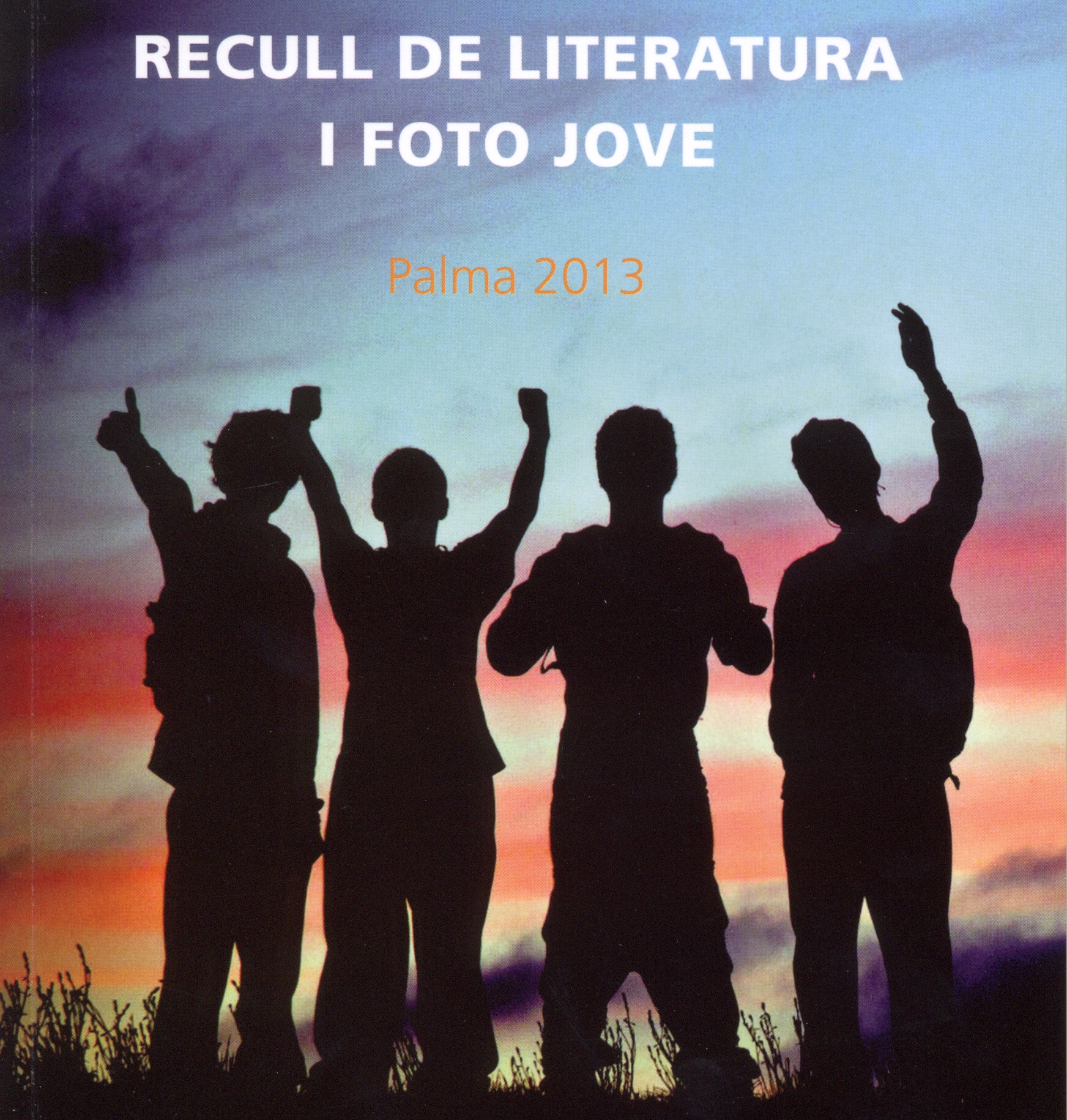 Recull de literatura Jove'13